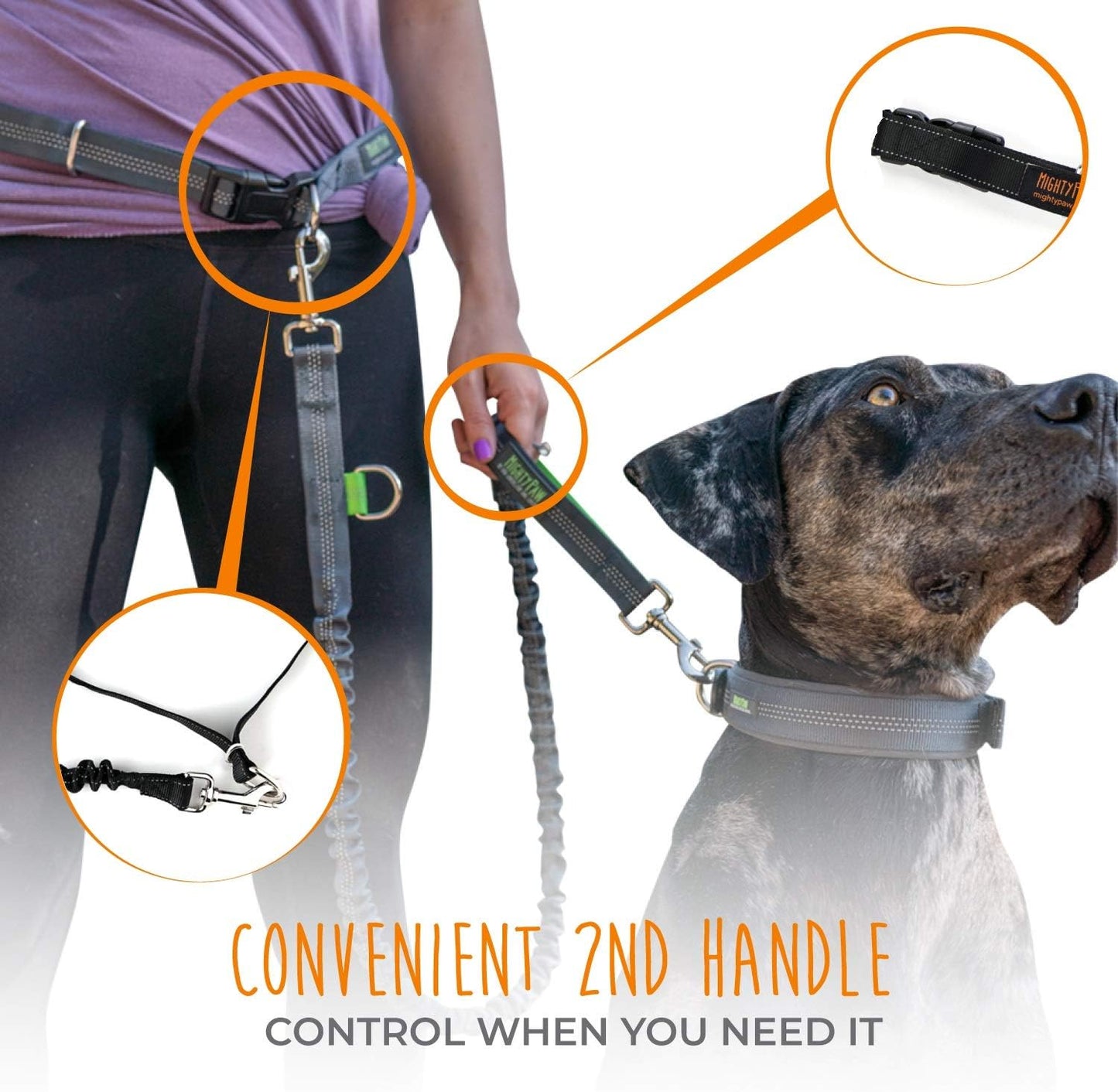 Experience Ultimate Freedom with Our Hands-Free Bungee Dog Leash - Perfect for All Breeds and Sizes!