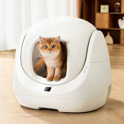 Revolutionize Your Cat's Bathroom Experience with the Smart Litter Box - Scooper SE