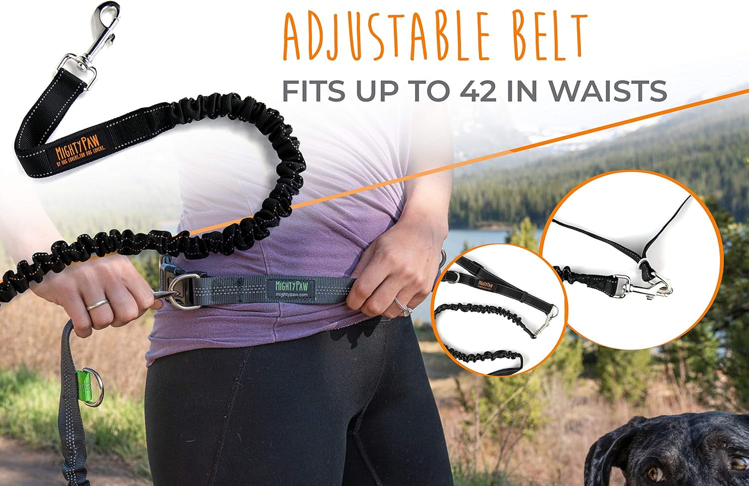 Experience Ultimate Freedom with Our Hands-Free Bungee Dog Leash - Perfect for All Breeds and Sizes!