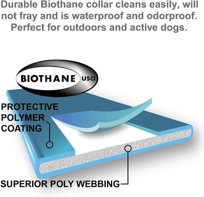 Transform Your Dog's Behavior with the E-Collar Mini ET-300 Remote Training Collar - Waterproof, Rechargeable, and Packed with Features for Effective Training