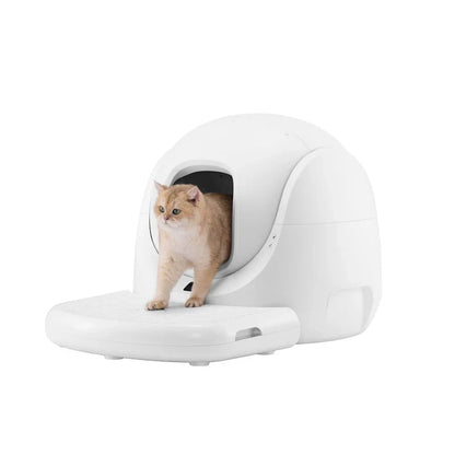 Revolutionize Your Cat's Bathroom Experience with the Smart Litter Box - Scooper SE