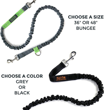 Experience Ultimate Freedom with Our Hands-Free Bungee Dog Leash - Perfect for All Breeds and Sizes!