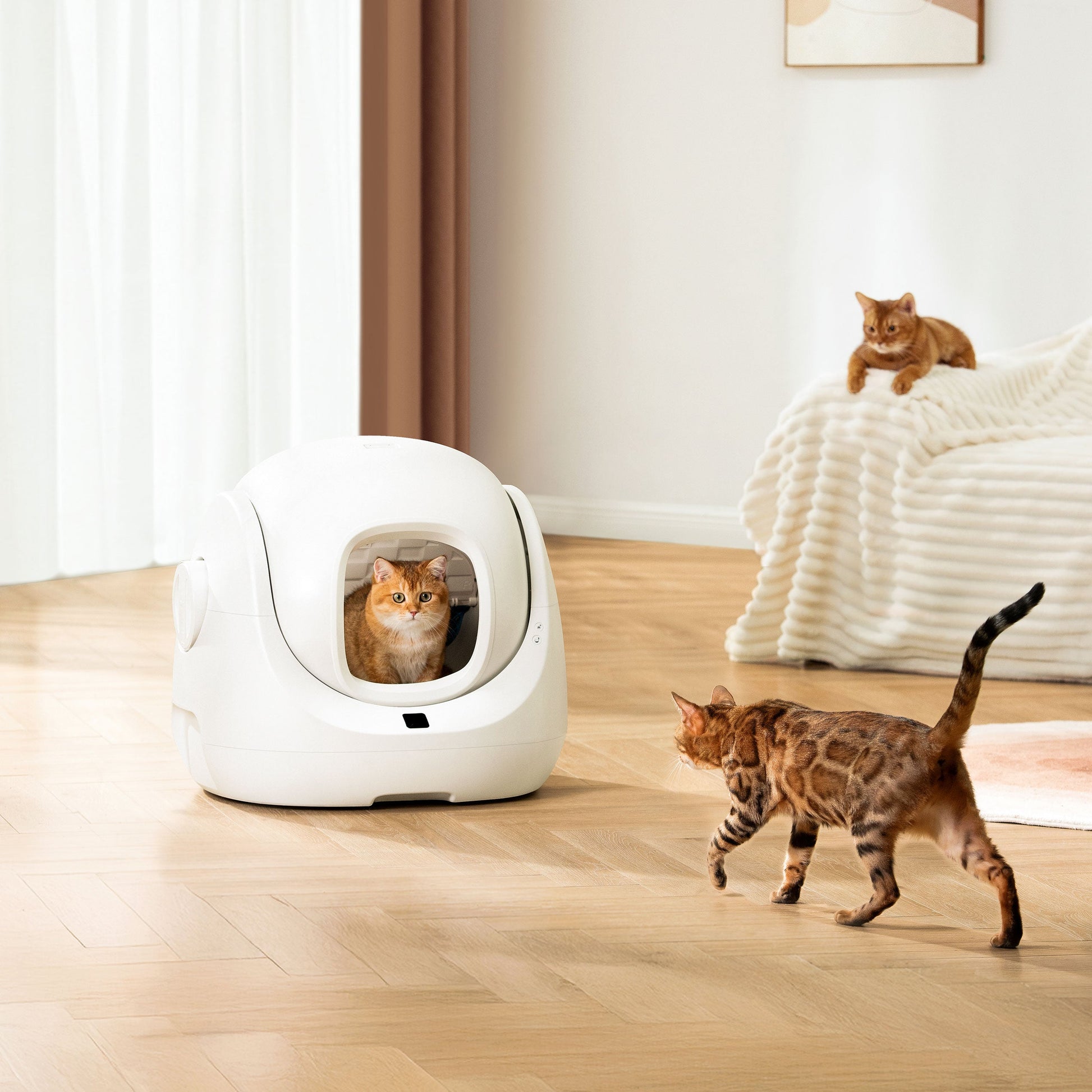 Revolutionize Your Cat's Bathroom Experience with the Smart Litter Box - Scooper SE