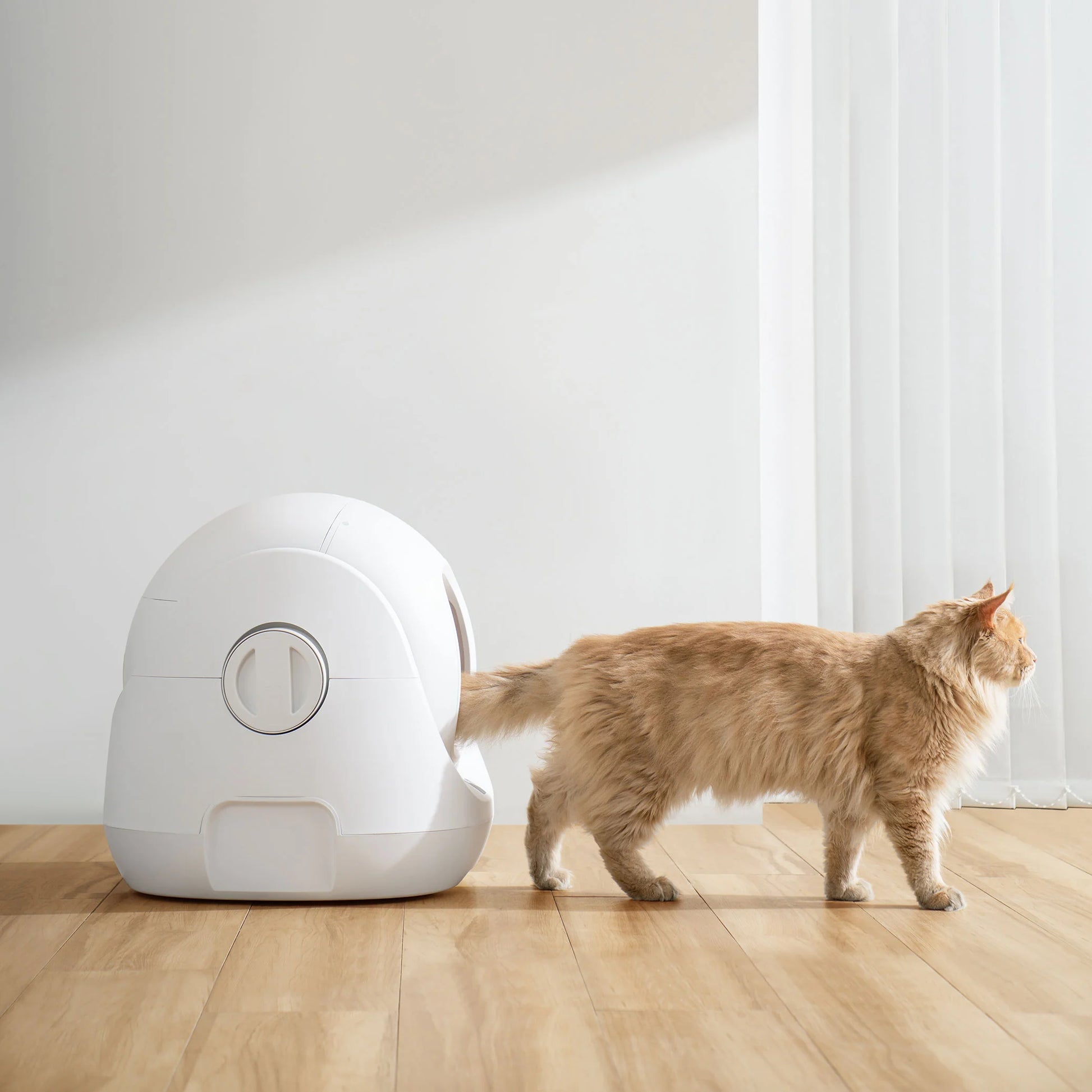 Revolutionize Your Cat's Bathroom Experience with the Smart Litter Box - Scooper SE