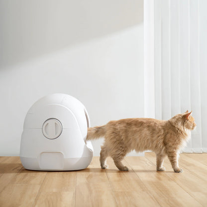 Revolutionize Your Cat's Bathroom Experience with the Smart Litter Box - Scooper SE