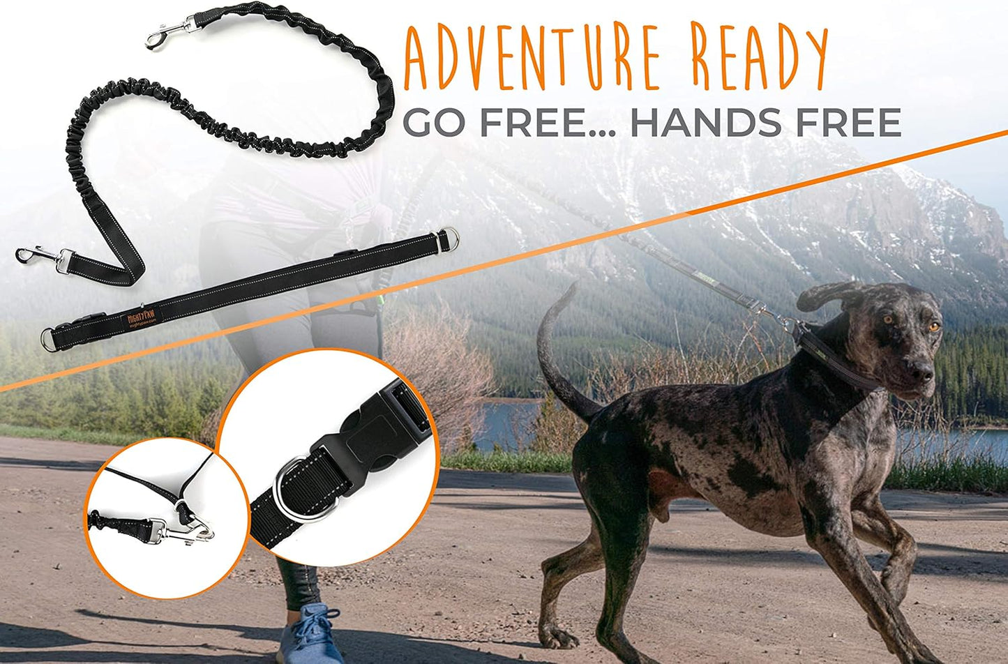 Experience Ultimate Freedom with Our Hands-Free Bungee Dog Leash - Perfect for All Breeds and Sizes!