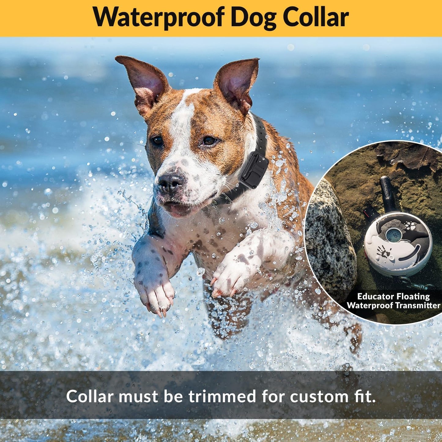 Transform Your Dog's Behavior with the E-Collar Mini ET-300 Remote Training Collar - Waterproof, Rechargeable, and Packed with Features for Effective Training