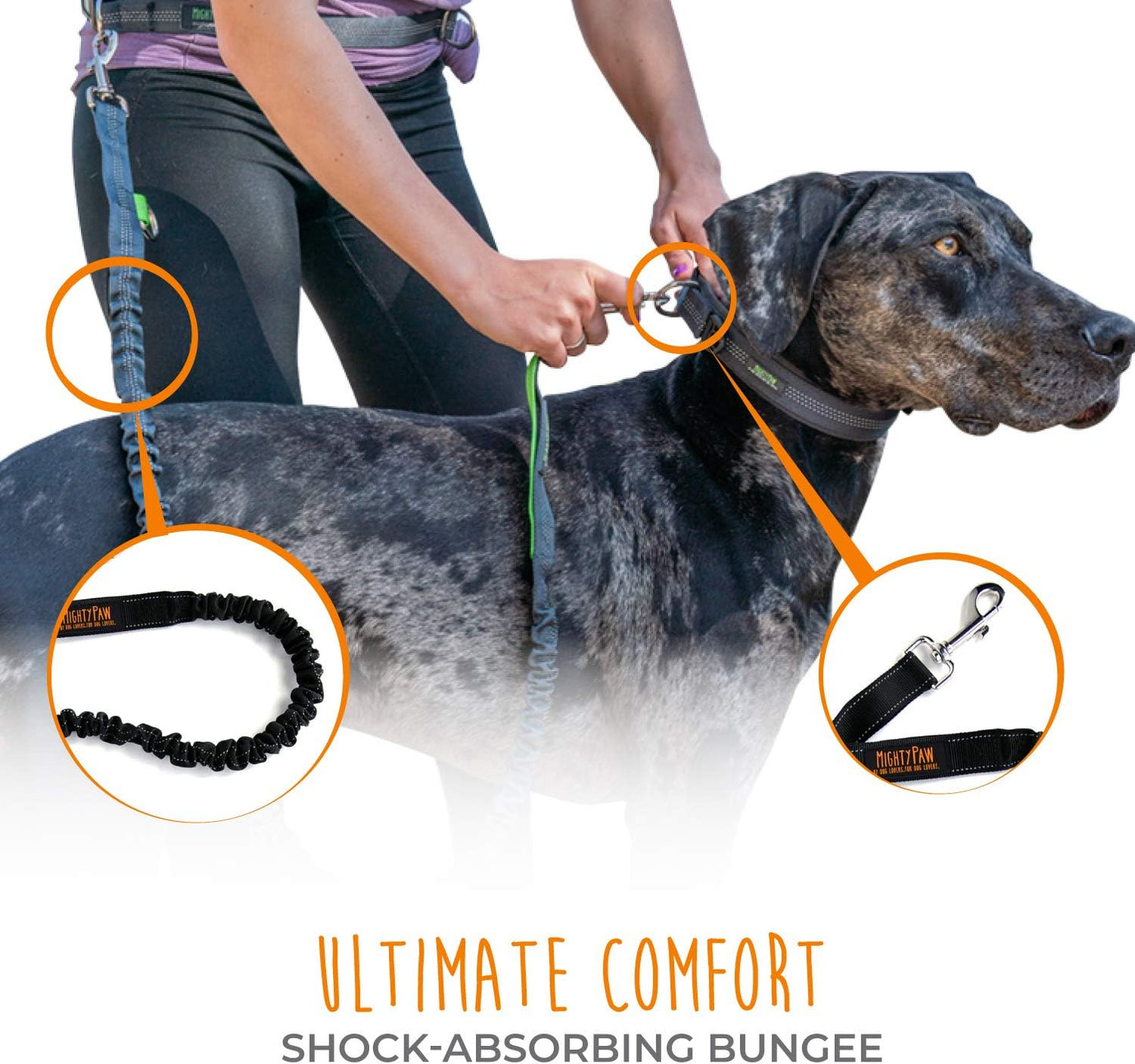 Experience Ultimate Freedom with Our Hands-Free Bungee Dog Leash - Perfect for All Breeds and Sizes!