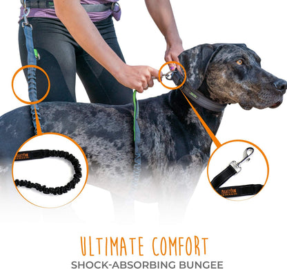 Experience Ultimate Freedom with Our Hands-Free Bungee Dog Leash - Perfect for All Breeds and Sizes!